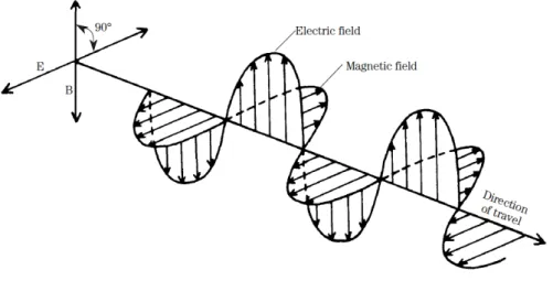 Figura 1 - Esquema de uma onda eletromagnética [fonte: 11] 
