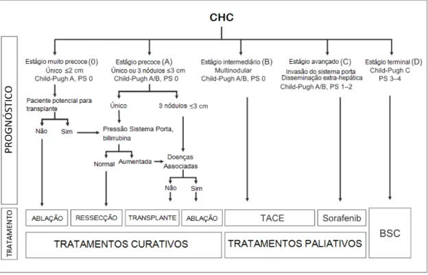 Figura 4 – Sistema de classificação BCLC. Nesse sistema estão previstas as relações entre os estágios do CHC e as indicações de tratamento e prognóstico –  Barce-lona Clinic Liver Cancer/Clínica de Câncer de Fígado BarceBarce-lona Retirado de (CARRILHO et 