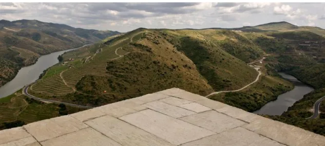 Figura 9- Vista da cobertura do museu (Imagem retirada de https://arte-coa.pt/museu/ 