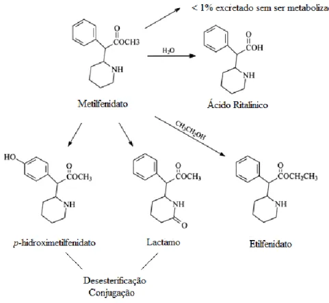 Figura 5. Metabolismo do Metilfenidato (adaptado de Medscape, 2013 )