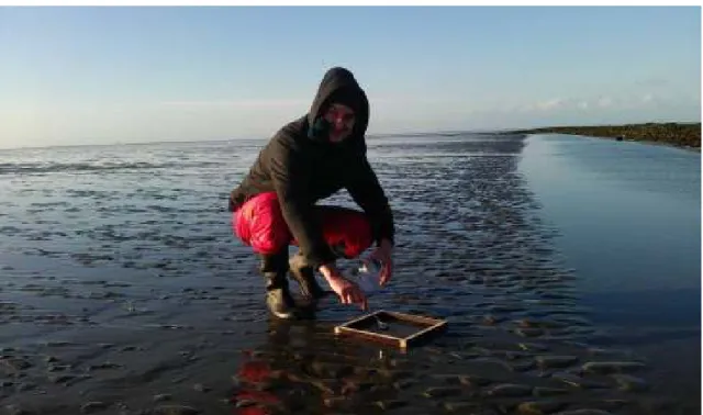 Figure 3: Sampling at Site 1 during low tide, close to a tidal flat channel. 