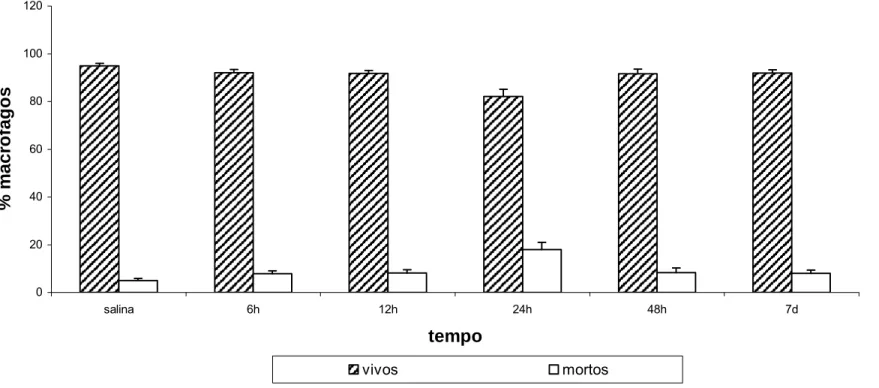 Figura 3 - Efeito da administração intraperitoneal de MagheCi (1,5 × 10 15  partículas) sobre a viabilidade celular de macrófagos  peritoneais em camundongos fêmeas Swiss em tempos que variavam entre 6 horas a 7 dias