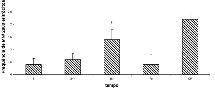 Figura 9 - Efeito da administração endovenosa de MagheCi (2,6 × 10 15 partículas) sobre o número de MN em eritrócitos normocromáticos em  camundongos fêmeas Swiss em função do tratamento
