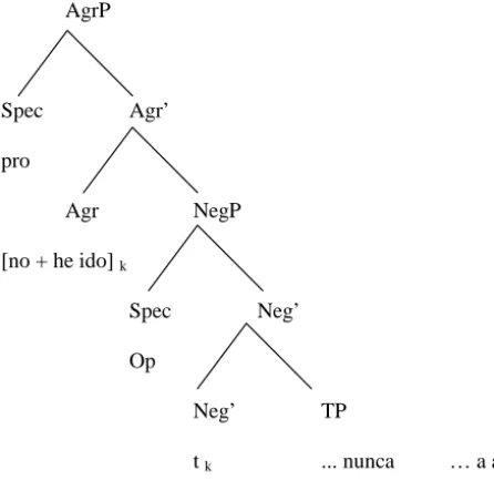 Figura I: No he ido nunca a aquel sitioAgrP Spec  Agr’  pro Agr  NegP [no + he ido] kSpec  Neg’OpNeg’  TP 