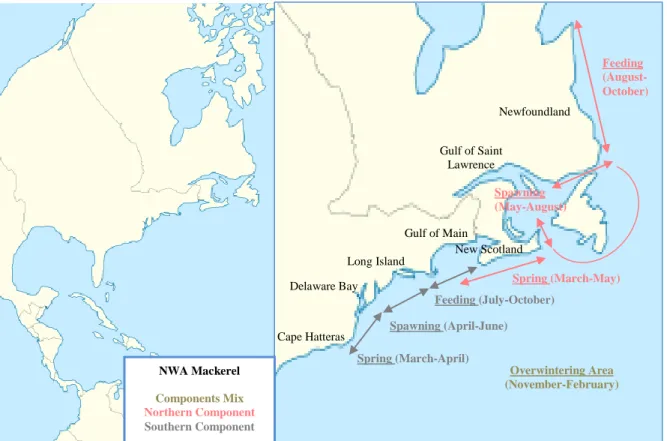 Figure 1.3 NWA Mackerel components distribution. 