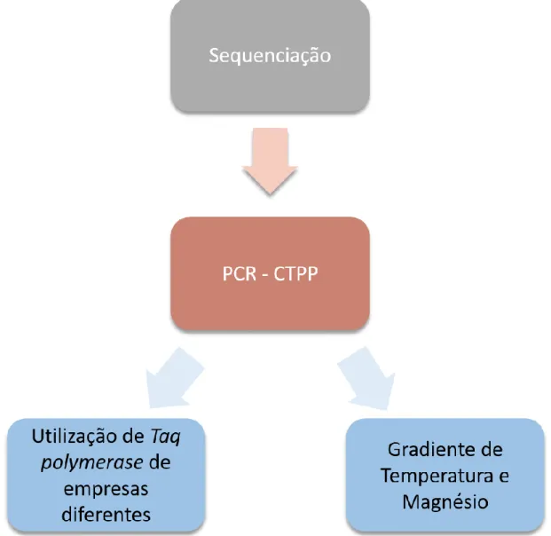 Figura 10. Esquema representativo da sequência do processo de otimização e das abordagens realizadas  na técnica de PCR-CTPP