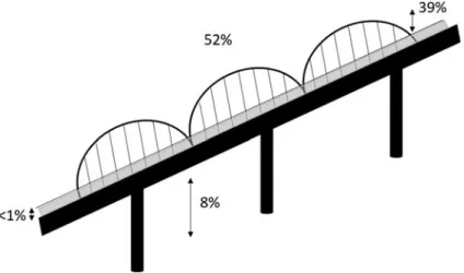 Fig. 7.4 Schematic drawing of the bowstring railway bridge across the Sado River, showing the proportion of bird crossings at various heights during one annual cycle (November 2012 – September 2013)