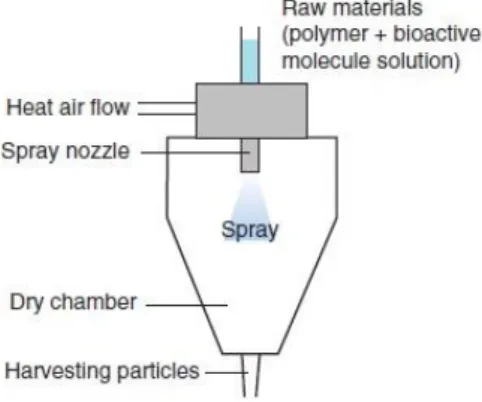 Figura 5 - Técnica de secagem por pulverizador (Adaptado de Lima et al, 2012) 
