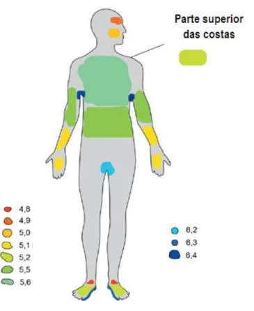 Figura  8.  Diagrama  do  pH  das  várias  regiões  da  pele  humana.  (Adaptado  de  Wilson,  2008)