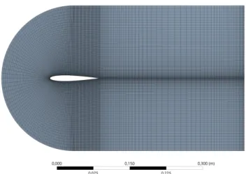 Figure 2.2: Mesh (Internal zone).