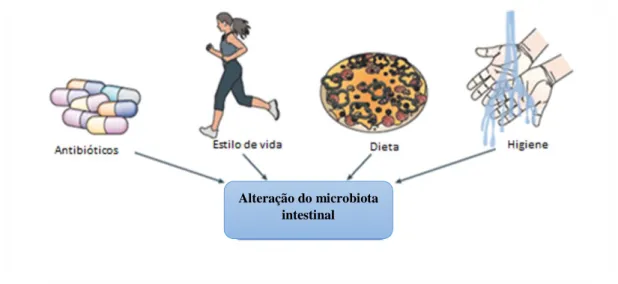 Figura 3. Representação de fatores ambientais que afetam a composição do microbiota  intestinal (adaptado de Sommer e Bäckhed, 2013)