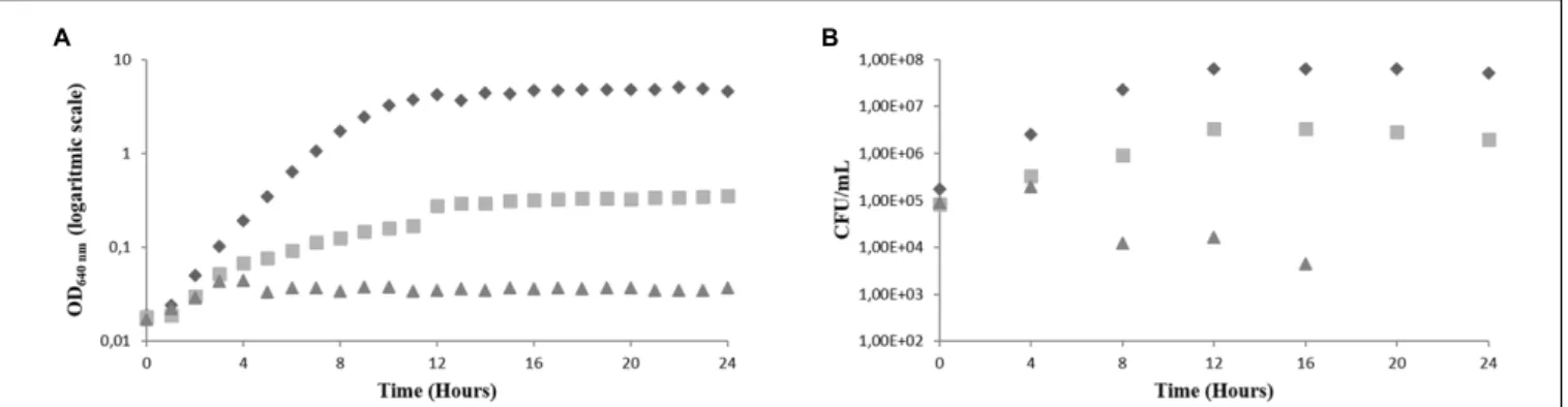 FIGURE 2 | Effect of the BCO on the growth of C. albicans in PDB medium, pH 7.5, 35 ◦ C, without agitation (representative curve of triplicate experiments)