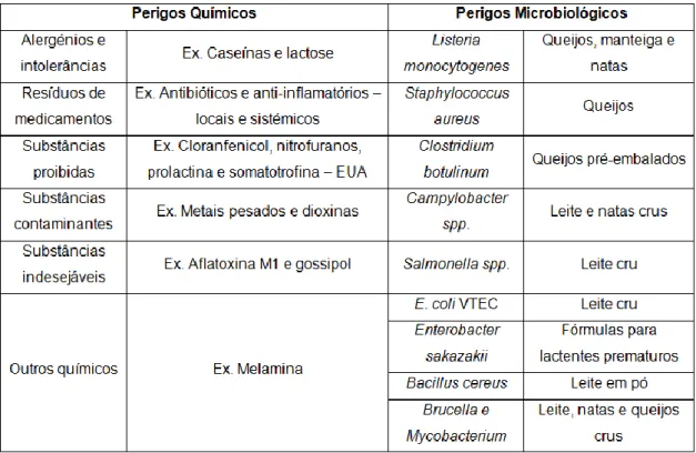 Tabela 2.1 - Os principais perigos de natureza química e microbiológicos associados ao  consumo de leites (EFSA, 2009) 
