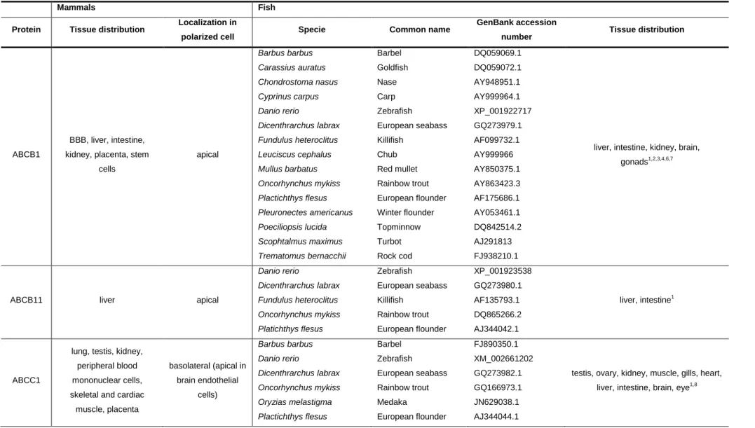 Table  1.2  –  ABC  transporters  involved  the  efflux  of  toxic  compounds,  fish  species  where  they  were  identified  and  tissue  distribution  pattern  in  mammals and fish
