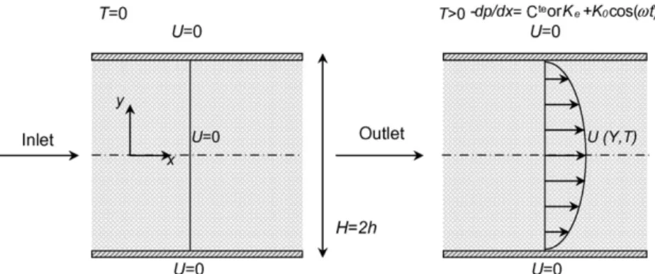 Fig. 1. Schematic representation of the geometry for the start-up and pulsating ﬂow problems.