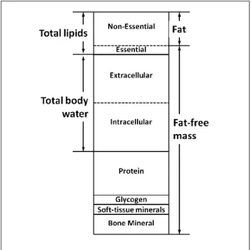 Figure 2.3. Molecular level components. 