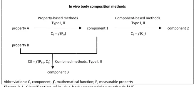 Figure 2.4. Classification of in vivo body composition methods [18] 