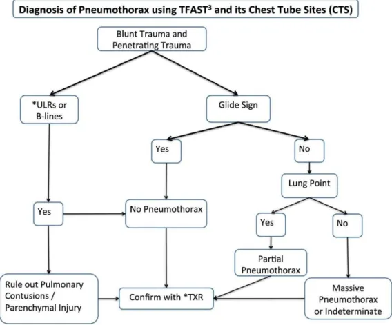 Figure 18 Algorithm for the use of TFAST in the diagnosis of PTX (Boysen &amp; Lisciandro, 2013)