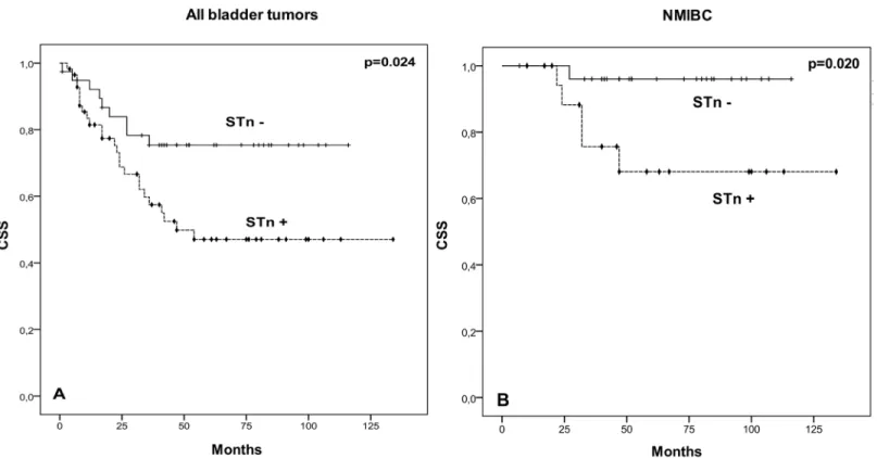 Fig 5. Effect of STn expression in cancer-specific survival (CSS). Kaplan – Meier analysis showing the association between STn and CSS in: (A) all studied bladder cancer patients; (B) NMIBC patients