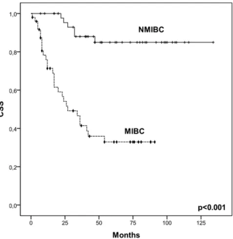 Fig 2. Association between disease groups and cancer-specific survival (CSS) in the studied patients.