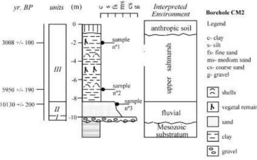 Fig. 5. Stratigraphic column from borehole CM2 and the inferred depositional environments
