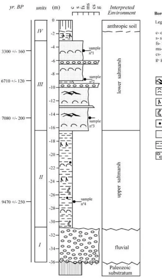Fig. 6. Stratigraphic column from borehole CM3 and the inferred depositional environments