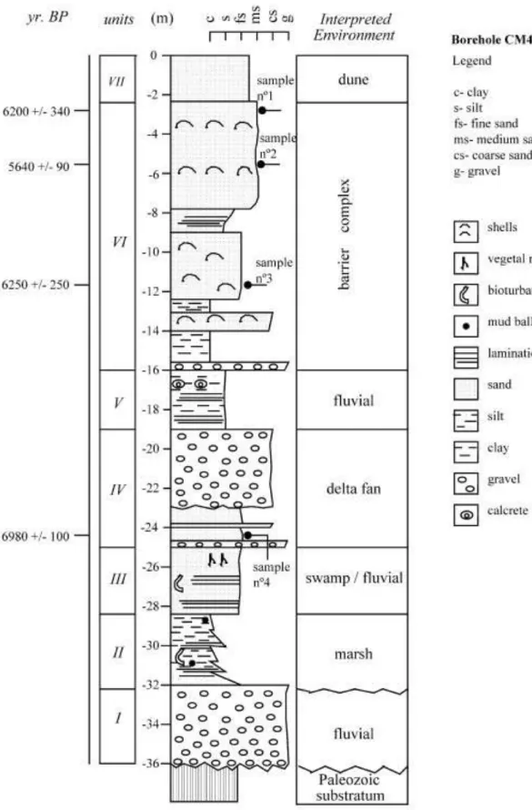 Fig. 7. Stratigraphic column from borehole CM4 and the inferred depositional environments
