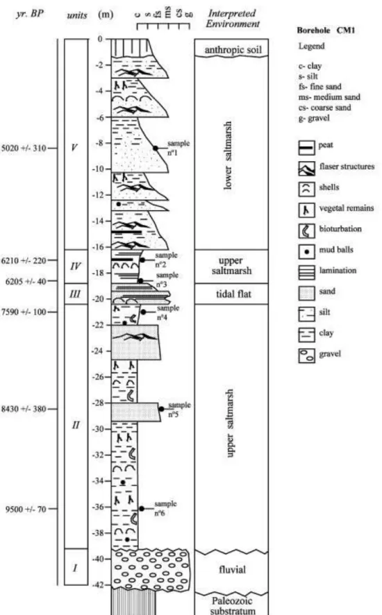Fig. 3. Stratigraphic column from borehole CM1 and the inferred depositional environments