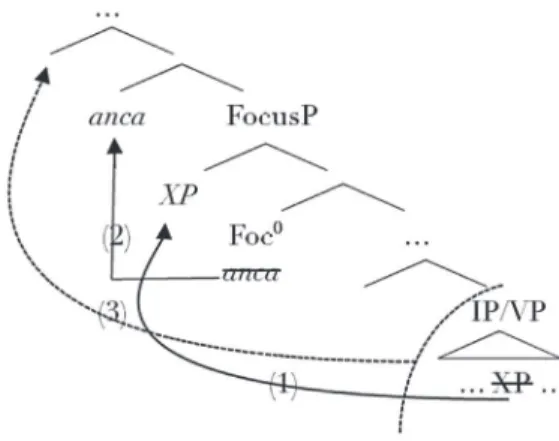 Figure 1 – Munaro and Kayne’s treatment of focusing adverbs
