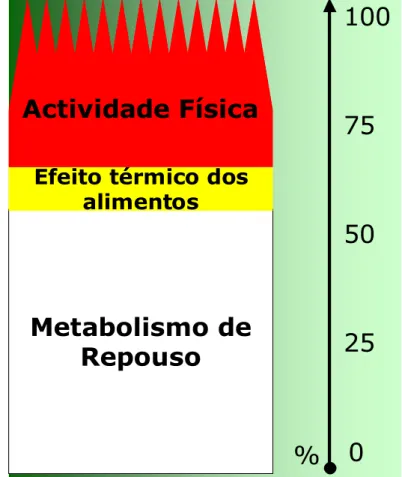 Figura 10 - Constituintes da Energia Total Dispendida (Adaptado de Themudo Barata, Curso de Nutrição  e Actividade Física, Universidade da Beira Interior, 2011) 