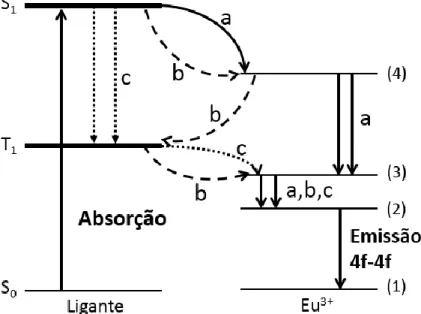 Figura 12 - Mecanismo de transferência de energia em complexo com íons terras raras. Fonte: 