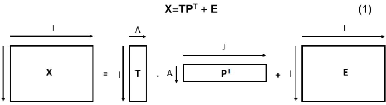Figura 13 – Esquema da decomposição por PCA da matriz X. Fonte: Adaptado de  (MARQUES, 2013).