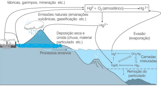 Figura  02  -  Esta  figura  mostra  o  ciclo  do  Hg  no  ambiente  (SOUZA  &amp;  BARBOSA,  2000)