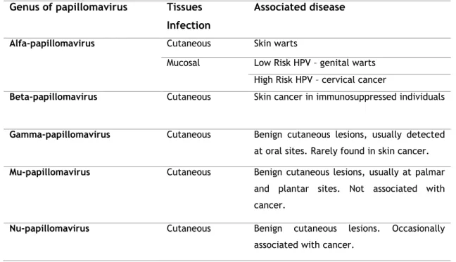 Table 2 - The five evolutionary groups of HPV with different epithelial tropism and disease associations  (adapted from [6])