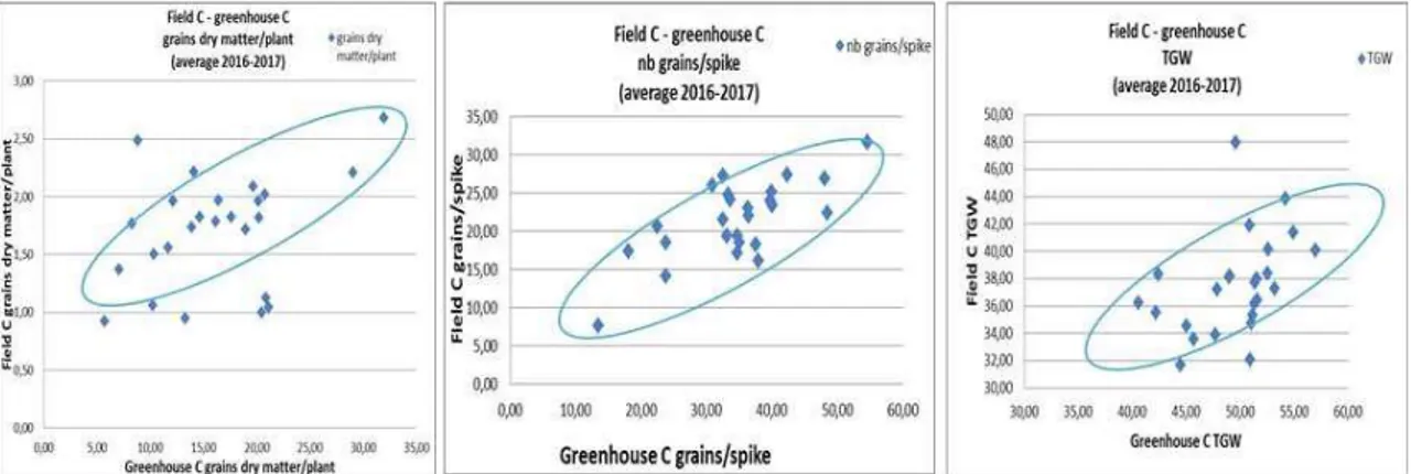Figure 3: Correlation between Greenhouse Control and Field Control  for yield, number of grains  per spike and thousand grain weight (TGW))