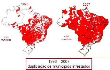 Figura 4 - Distribuição de Aedes aegypti no Brasil em 1996 e 2007  