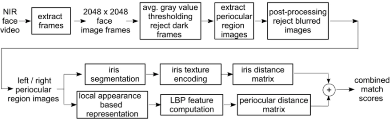 Figure 2.13: Woodard et al. steps to study a possible fusion between the iris and periocular.