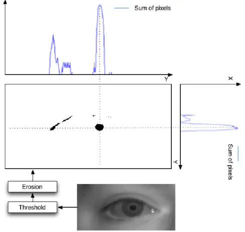 Figure 3.13: Pupil estimation steps. Localization of the darkest points in the input image and horizontal and vertical analysis.