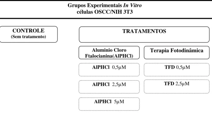 Figura 5. Grupos experimetais In Vitro . 