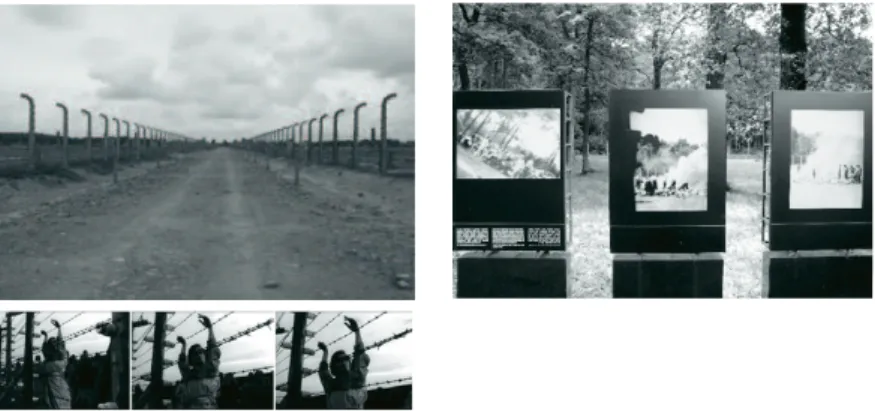 Fig. 4. Georges Didi- Didi-Huberman,  Auschwitz-Birkenau, junho de 2011.