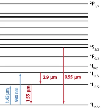 Figura 6 – Estrutura dos níveis de energia dos íons trivalentes de Érbio (Er 3+ ) e transições  ópticas  comuns