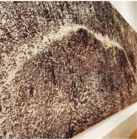 Fig. 2 Giuseppe Penone.