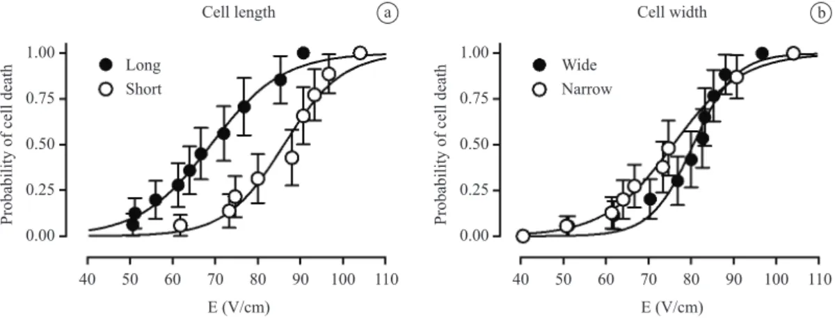Figure 1. Curves that describe the probability of ield-induced lethal injury to isolated rat ventricular myocytes as a function of the ield  intensity (E), determined in the cell groups formed according to the values of cell length (panel a) and width (pan