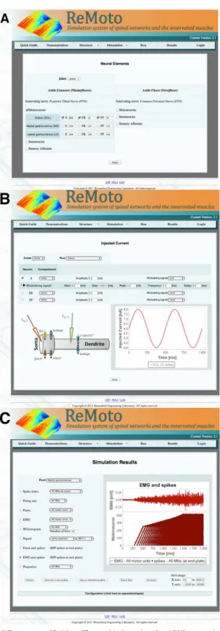 Figure 2. Screenshots taken from different parts of ReMoto. The graphical user interface (GUI) was entirely redesigned in comparison with  the irst version of the simulator (Cisi and Kohn, 2008)