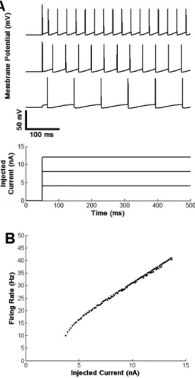 Figure 4. Double pulse paradigm used to evaluate the refractory  period of a neuron. When the interpulse interval (IPI) is about or  higher than 55 ms (small gray vertical bars at the bottom) the neuron  discharges a second spike; however, for lower IPIs t