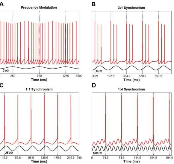 Figure 6. Frequency modulation and phase locking between the input and output of a single neuron model