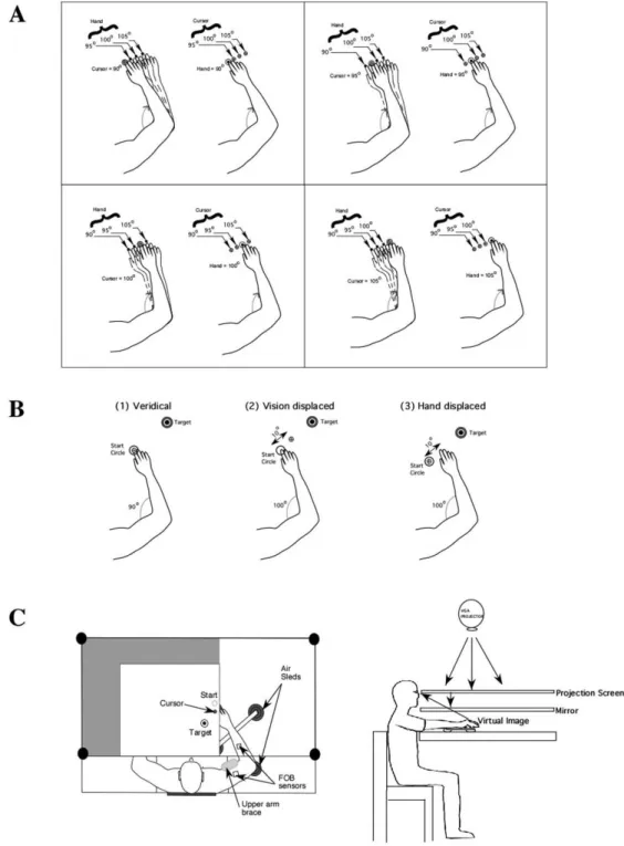Figure 1.  (A) Possible hand start locations (90, 95, 100, and 105° elbow angle) and visual cursor start location conditions (difference between  virtual and actual elbow angle: 0, 5, 10, and 15º)