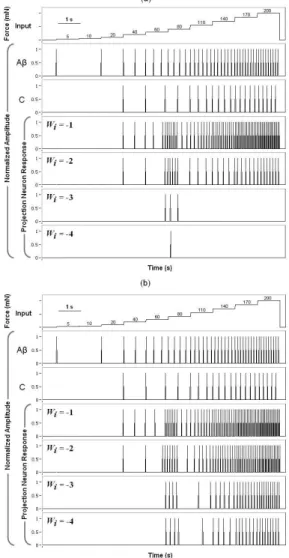 Figure 3. Response of the projection neuron to progressive increases  of the input signal using the paradoxical model of Aβ-ibre (a), and  the average response model (b).