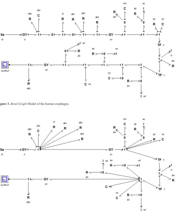 Figure 3. Bond Graph Model of the human esophagus.