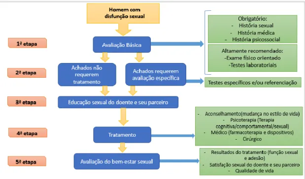 Figura 3 - Algoritmo para o diagnóstico e tratamento da ICSM-5, adaptado de: Althof SE, Rosen RC, Perelman MA,  Rubio-Aurioles E